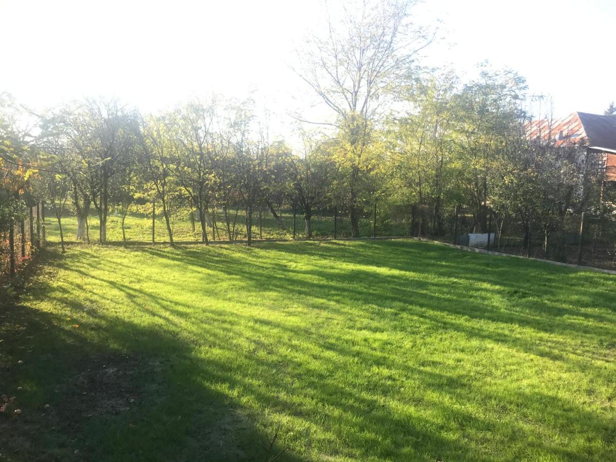 Green Nest Banesti Exterior photo